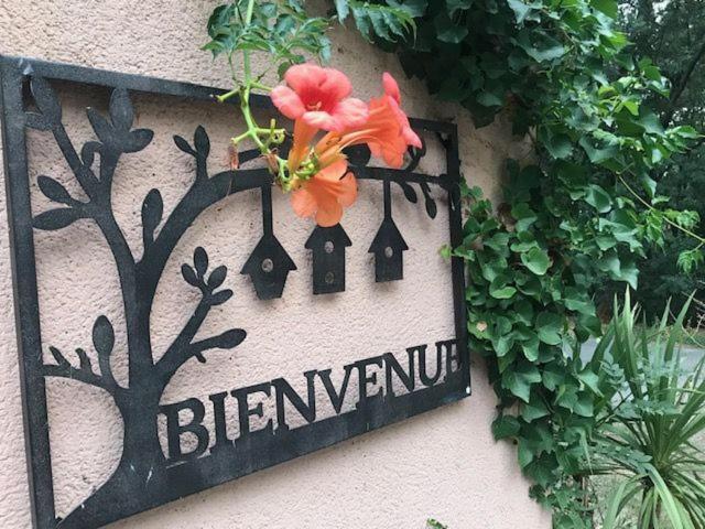 B&B Les Muscades Saint-Étienne-du-Grès Eksteriør bilde