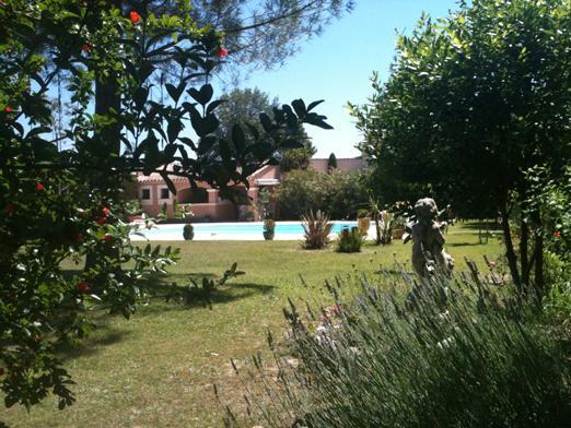 B&B Les Muscades Saint-Étienne-du-Grès Rom bilde